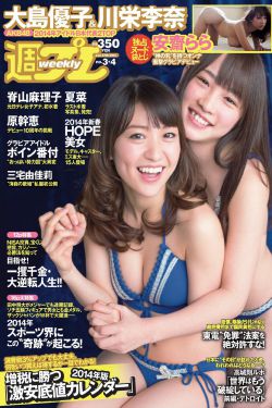 屋顶的散步者